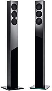 Revox Column G70 1 Paar 2 Wege-Bassreflex Lautsprecher Silber schwarz weiß (schwarz/schwarz)