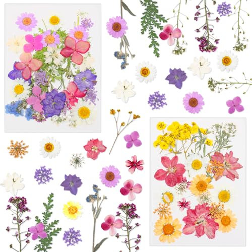 Druuzyl 64 Pezzi Fiori Secchi Naturali per Resina, Kit DIY con Fiori Pressati per Decorazione Album/Regali/Manuali, Fiori Piani per Scrapbooking e Creazioni Artistiche