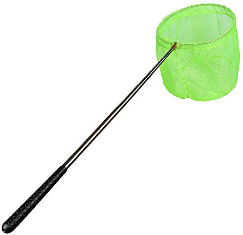 RESTCLOUD Bait Net and Fishing Landing Net with Telescoping Pole Handle Extends to 59 inches (Green)
