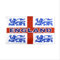 Flagge 90x150cm Rotes Kreuz UK England Lions Flagge