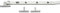 Satin Anodised Aluminium Casement Window Stay, 254mm L, Corrosion Resistant, Locking Pins