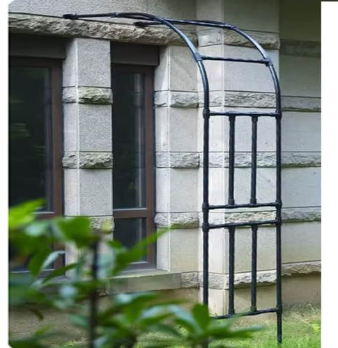 Arche de jardin murale en métal, demi-arches de jardin en acier pour vignes florales, arche de mariage en plein air, pergola robuste en treillis, supports de fleurs, support de plantes grimpantes(180x