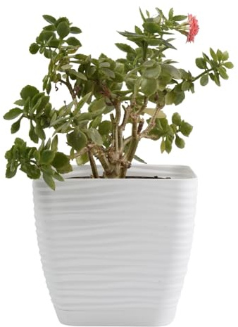 B2C Plant Pot Flowerpot Square Plastic Modern Decorative Wave Grooves Textured Elegant & Modern With Saucer (White, 17cm)