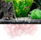 HERCHR 100g Pierres tombées, Pierre de copeaux améthyste, Pierres de Rose, Pierres de Quartz en Cristal pour la Maison déco Pierres vases Plantes succulentes Cactus(Rose)