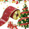 Geschenkband Rot Breit, Weihnachten Satinband Rot Schleifenband Stoffband 63mm zum Christbaumschmuck Kuchen BastelnGeschenkverpackung, 10M Satin Dekoband für Weihnachten Geburtstag Hochzeit Party
