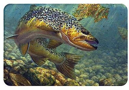 DENMER Fly Fish Teppich, Eingangsbereich, dekorativ, für drinnen und draußen, rutschfest, ultra-saugfähig, Badezimmerteppich, 40,6 x 61 cm