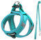 UVTQSSP Hundegeschirr Kleine Hunde mit Leine Gepolstert, Welpengeschirr, Dog Harness Hunde Geschirr Klein, Hellblau XXS