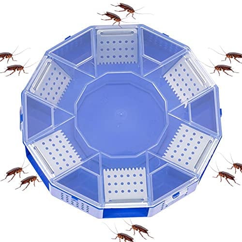 Mayueri Kakerlaken -Trap -Box Nicht Giftig Wiederverwendbare Schädlingsbekämpfung für Heimküche Blau 14 * 14 * 2,5 Cm