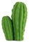 Kikkerland Cactus Erasers, Set of 2 (ER56)