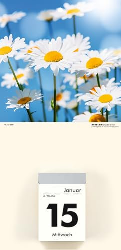 Zettler - Bildrückwände, 14,5x30cm, für Typ 301 und 302 Blumen sortiert