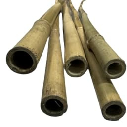 Tutor de Bambu para Plantas. 210cm de Altura. Paquete 100 uds. Todo para mi huerto. Uso agrícola para Sujetar árboles, Plantas y hortalizas.