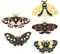 SAFIGLE Schmetterlings-emaille-anstecknadel-set 5-teiliges Revers Metall-anstecker-schmuck Retro-stil Perfekt Für Frauen Und Männer Dekorativ Für Hemden Taschen