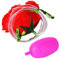 Blume Trickspielzeug,Künstliche Rote Rosen-Blumen-Wasserspritzer-Werkzeug Für Frauen, Männer, Kinder - Aprilscherz Werkzeug Clown Performance Spielzeug