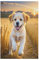 Holzpuzzle 1000 Teile, Labrador Puzzles Erwachsene Und Kinder, Am Besten Für Die Familienspielsammlung - Puzzle 78×53cm