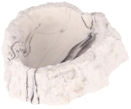 UKCOCO 1 Stück kreative Haustierschüssel Reptile Feeding Bowl Pet Feeding Plate Zubehör für Geckos mit Haube Zubehör für Reptilien Futternapf für Reptilien Vivarium Futter Wassernapf Grey