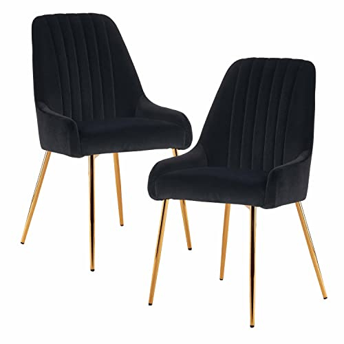 Sepnine Esszimmerstühle 2er Set, Essstuhl, Polsterstuhl mit goldenen Metallbeinen, Samt Küchenstuhl, komfortabler Esszimmermöbel, ergonomische Dining Chairs