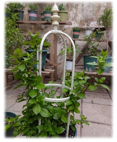 Rustic Patio Arch Garden Trellis Metal Obelisk For Supporting Climbing Plants Outdoor, Roses, Vines, Flowers, And Vegetables Tall Tower 90cm/120cm/150cm/180cm High Weather Resistant ( Color : Cream ,