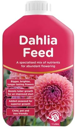 Liquid Dahlia Feed, Bigger Blooms, Vibrant Flower Colours, Improved Bud Formation, Consistent Plant Vitality, Ideal for Terrace Gardens, Home Garden Beds, Decorative Pots, Grow Bags, 1L