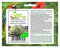 Stk - 20x Agave filifera Maguey Sukkulent Garten Pflanzen - Samen B612 - Seeds & Plants Shop by Ipsa