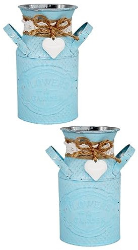 Happyyami 2 STK Rustikale Dose Französischer Blumenkübel Pflanzgefäße Für Zimmerpflanzen Metalltöpfe Für Pflanzen Bauernvase Verzinkte Blumenvase Ländliche Blumenvase Bonsaischale Mini