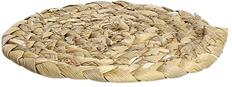 27031 Glasuntersetzer, Wasserhyazinthe, Natur, ca. Ø 12 cm …