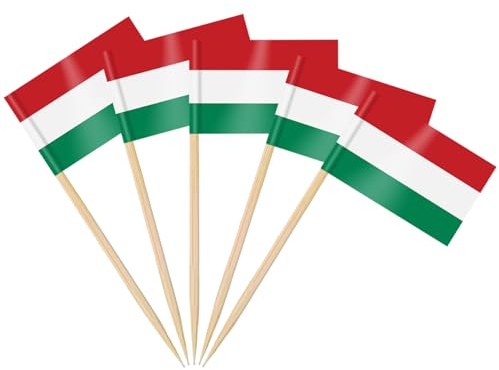 AhfuLife 100 Stück Ungarn Zahnstocher Flaggen, Ungarn Deko Fahne Klein Mini Zahnstocher für 2024 EM Euro Eurovision Song Contest Olympische Cupcake Topper Toothpick Cocktail Partydeko Pub Deko
