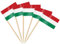 AhfuLife 100 Stück Ungarn Zahnstocher Flaggen, Ungarn Deko Fahne Klein Mini Zahnstocher für 2024 EM Euro Eurovision Song Contest Olympische Cupcake Topper Toothpick Cocktail Partydeko Pub Deko