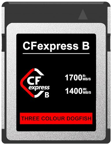 Dogfish 256GB Speicherkarte CFexpress Typ B bis zu 1700MB/s, für 8K 4K RAW Foto & Video, für Kamerarecorder Profi Kameras Nikon Canon Panasonic