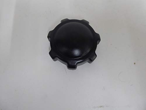 Authentique bouchon de réservoir de rechange pour tondeuse auto-portée Castel Garden 125795001/1