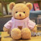EHOTER Adorable Ours en Peluche avec Capuche, Petit Ours en Peluche De 30 Cm, Jouets pour Enfants, Cadeaux d'anniversaire pour Bébé Garçons Filles (30cm,Rose)