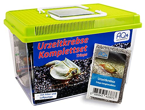 AQ4Aquaristik Triops longicaudatus Premium Komplett-Set 6 l mit ca. 200 Urzeitkrebs Eiern, Becken, LED-Beleuchtung, Heizung, Filter, Luftpumpe, Kescher, Futter, Zubehör, Anleitung