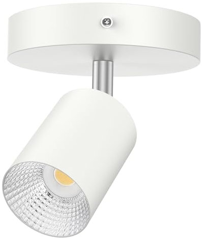 DEECOZY LED Deckenstrahler 4 Flammig Wohnzimmer-Deckenleuchte Modern Deckenlampe Flame LED Spotlight GU10 Deckenspot Schwenkbar 330°Drehbar Spot Strahler Lampe Edelstahl innen (1 Lampenhalterung)