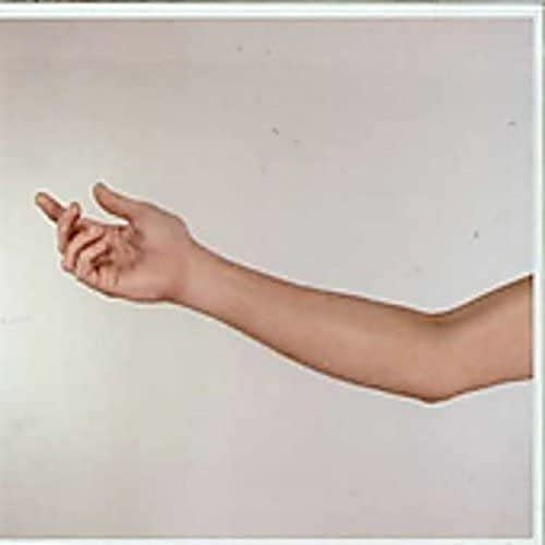 Sanctuary/ (rough trade)
