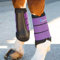 Shires Arma Sehnenschoner, Neopren, Pflaumenblau, violett, Cob