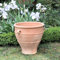Palatina Werkstatt Terracotta Pflanzgefäß mit Henkel,handgefertigt und frostfest, Blumenkübel Garten Deko, 35-80 cm, Rosa 2 (50 cm)