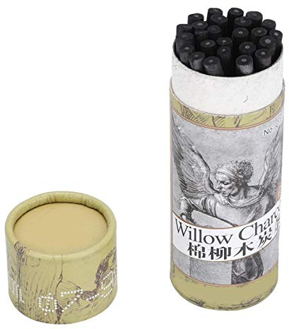Tiiyee Crayons Fusain Professionnel 25 Pièces, Set Dessin Charbon Artistique pour Croquis Cours d'Art et Création Extérieure Noir Intense Sans Poussière
