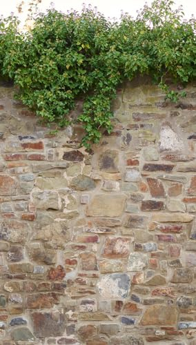 Livingwalls Vliestapete - Tapete Steinoptik in Braun, Grau und Beige - Wandtapete für verschiedene Räume - Wandbild XXL 2,80 m x 1,59 m