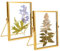 WANDGU Gold Doppelseitiger Bilderrahmen: 2 Stück 15 X 20 cm Glasrahmen für Gepresste Blumen, Messing Schreibtisch Bilderrahmen zum Aufstellen für Getrockneter Blumen Artwork Bild Display
