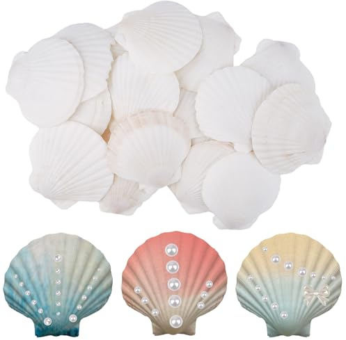 Vaktop 20 Stück Jakobsmuschel, Natürliche Muscheln Groß, Muschelschalen Fächermuschel, Muscheln Deko für DIY Handwerk, Küchendekoration, Snackdekoration, Aquariumdekoration (7-8cm)