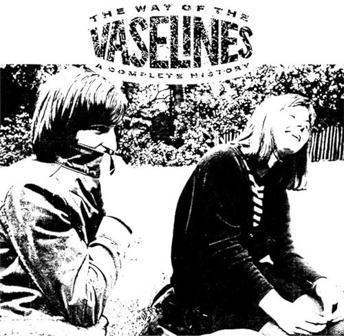 The Way of the Vaselines - a Complete History