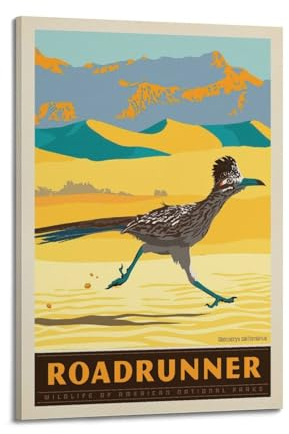 koanga Vintage-Tierposter, schönes Roadrunner-Poster, dekoratives Gemälde, Leinwand-Wandposter und Kunstdruck, modernes Familienschlafzimmer-Dekor-Poster, 60 x 90 cm