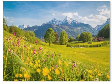 5D Diamond Painting ,Blick über Blumen-Wiesen auf das Watzmann-Massiv in den Berchtesgadener Alpen,Kristall Strass Stickerei Bilder Kunsthandwerk für Zuhause Wanddekoration Geschenk(50x60cm)-A73