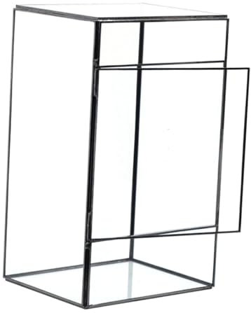 ibasenice Terrario De Cristal Hecho a Mano para Plantas Suculentas, Soporte para Micro Paisajes Ecológico, Estuche Transparente De Vidrio Pequeño para Decoración De Mesa y Hogar