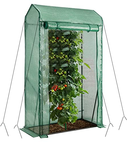 COSTWAY Gewächshaus für Tomaten, 100x50x170cm, Foliengewächshaus mit PE Gitterfolie, Gartengewächshaus mit aufrollbarer Reißverschlusstür, Tomatenhaus klein & begehbar, Stahlrahmen (grün)
