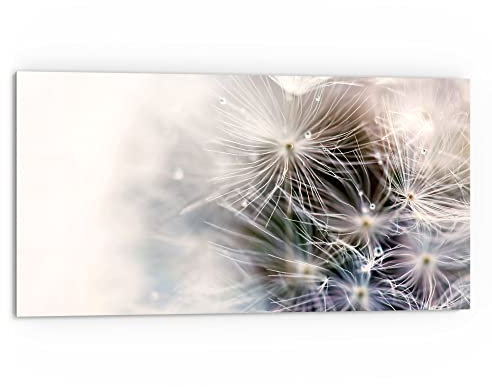 DEQORI Küchenrückwand Glas | Motiv Detailaufnahme Pusteblume | 80x40 cm | Bad- oder Herd-Rückwand | Herdblende Spritzschutz für Küche & Badezimmer | Moderne Deko für Fliesenspiegel