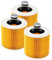 3 Filtri per Aspirapolvere Kärcher, Per Kärcher WD3 Premium, WD2, SE4001 SE4002 MV3, MV2, A, K, KNT, NT, SE, VC Filtro WD3 Adatti Anche per Filtri per Aspirapolvere a umido e a Secco