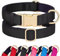Didog Hundehalsband aus Nylon, weich gepolstert, strapazierfähiges Hundehalsband mit Schnellverschluss-Metallschnalle, leichtes und atmungsaktives Hunde Halsband für kleine Hunde,Schwarz,S