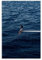 Gufatoo Sza Poster Sos Musikalbum Cover Musikposter für Zimmer, ästhetische Leinwand, Wandkunst, Schlafzimmerdekoration, 30 x 45 cm