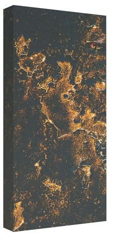 Addictive Sound Akustikpaneele - Akustikplatten und Schallabsorber mit Grafiken - Acoustic Panel Wand - Akustikelemente Bild mit den Maßen 100x50x11 cm - Akustikpaneel Absorber - Gold_1