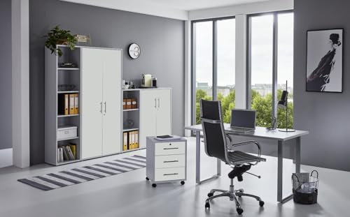 moebel-dich-auf Büromöbel Set Komplett TABOR 4 mit Schreibtisch, Rollcontainer, Aktenschränken & Regal – Büro Komplettlösung Korpus lichtgrau Front weiß matt